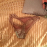 My panties after a very horny phone call....