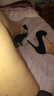 Hello Heels - do want more feet pictures?